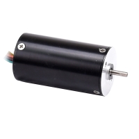 R30 Series Brushless DC Motors R30 Series Brushless DC Motors