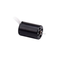 R16 Series Brushless DC Motors R16 Series Brushless DC Motors