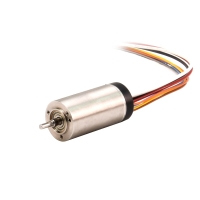 ECH22045 High Speed Slotless BLDC Motors