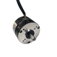 R63 Series Brushless DC Motors R63 Series Brushless DC Motors